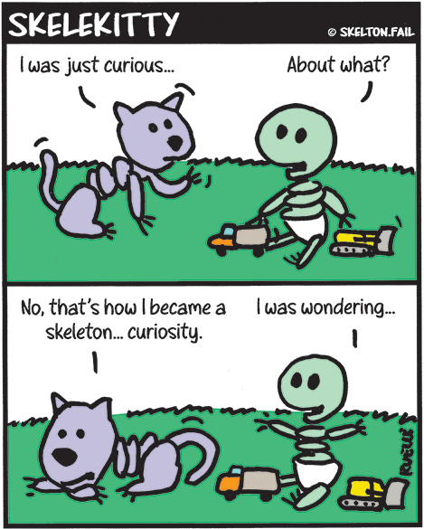 Skeleton cat 9 lives