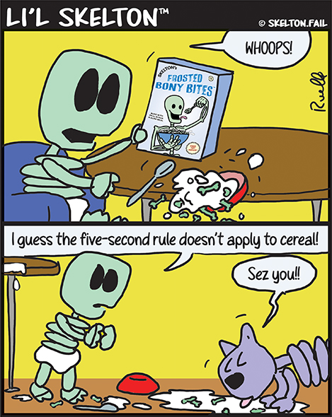 a skeleton cat ignores five second rule